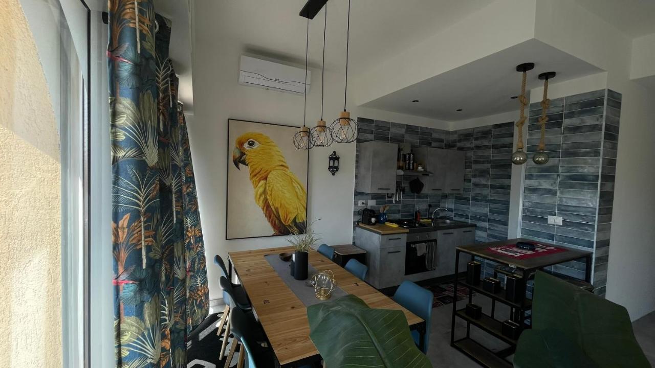 Koru House Torvaianica Βίλα Εξωτερικό φωτογραφία